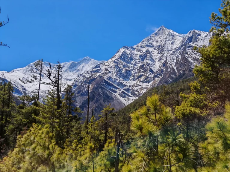 adventure-in-nepal-with-hotel